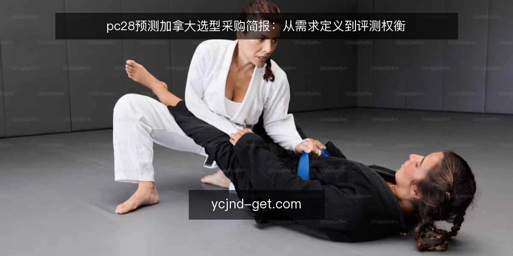 pc28预测加拿大选型采购简报:从需求定义到评测权衡 — 明确需求边界:先定义使用场景与目标 配图