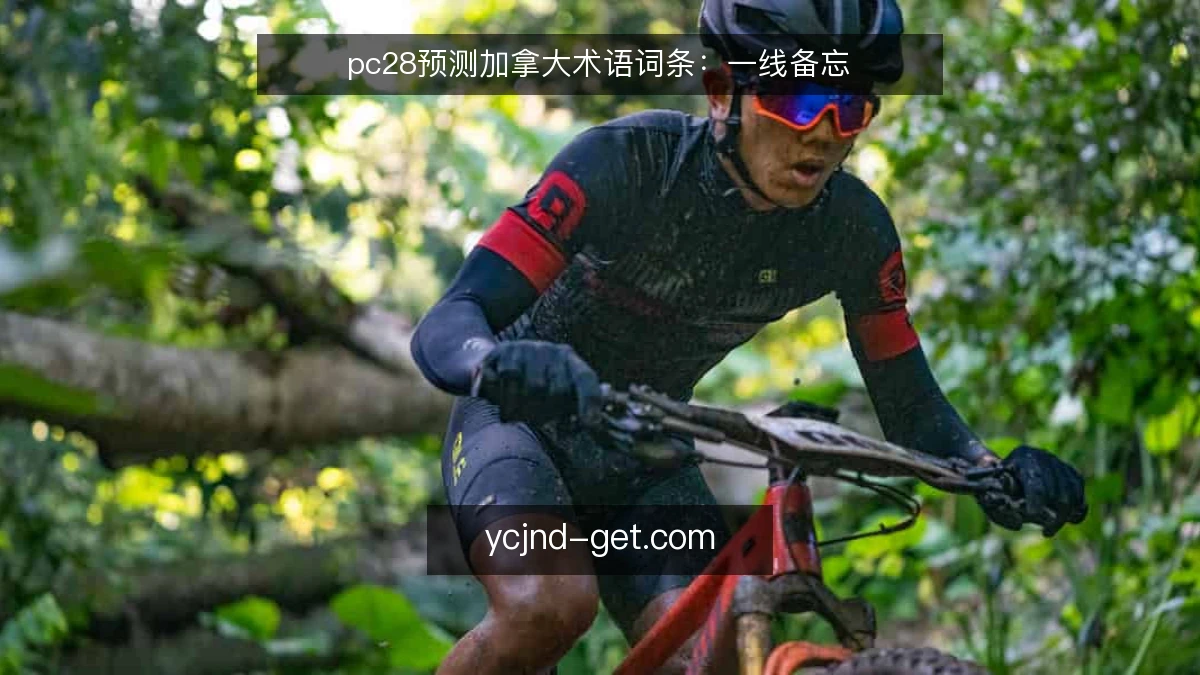 pc28预测加拿大术语词条:一线备忘