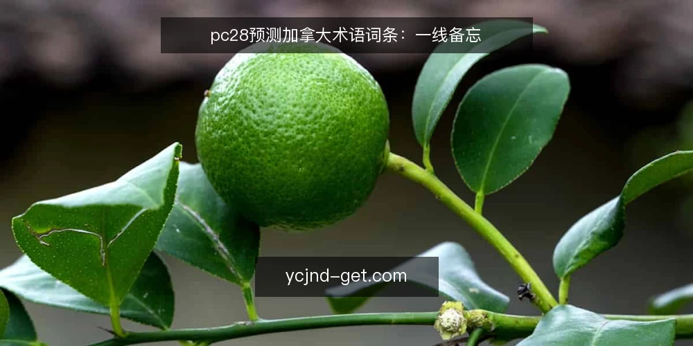 pc28预测加拿大术语词条:一线备忘 — 信号观察:术语与指标 配图