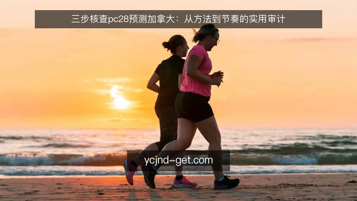 三步核查pc28预测加拿大：从方法到节奏的实用审计