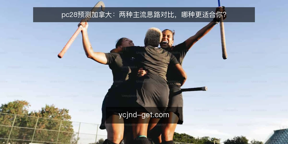 pc28预测加拿大:两种主流思路对比,哪种更适合你? — 对比前先定标准:你更看重什么 配图