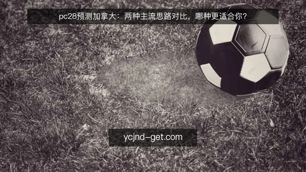 pc28预测加拿大：两种主流思路对比，哪种更适合你？