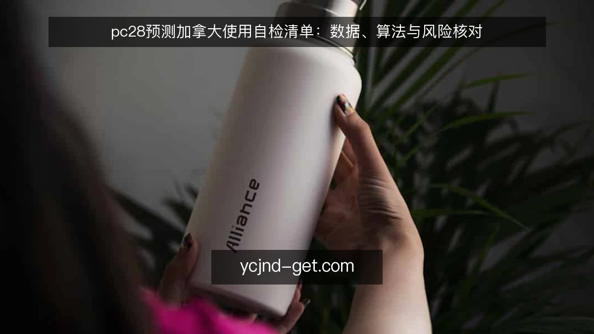 pc28预测加拿大使用自检清单：数据、算法与风险核对