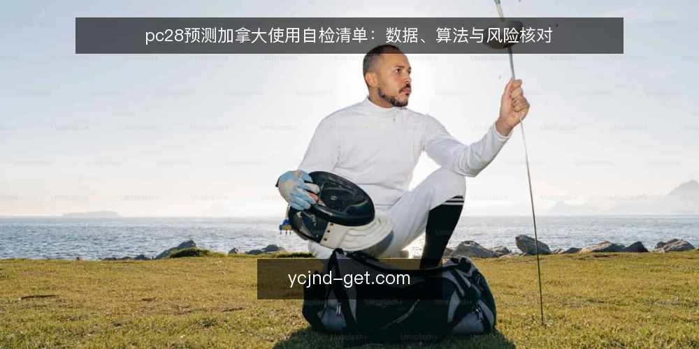 pc28预测加拿大使用自检清单:数据、算法与风险核对 — 为什么现在需要这份自检清单? 配图