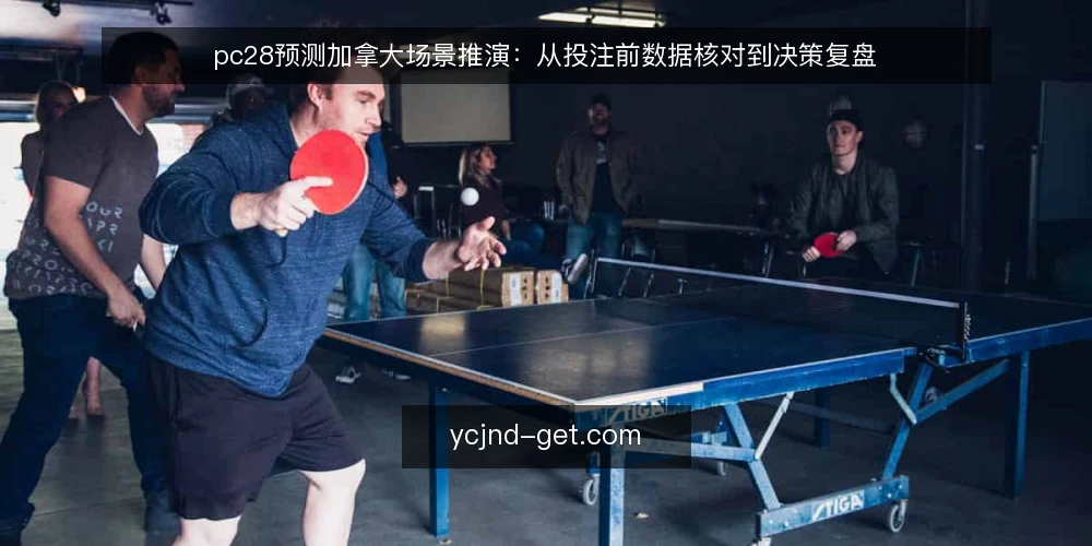 pc28预测加拿大场景推演:从投注前数据核对到决策复盘 — 场景设定:投注前的数据核对需求 配图