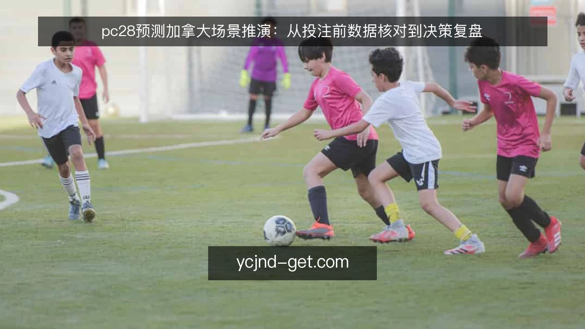 pc28预测加拿大场景推演：从投注前数据核对到决策复盘
