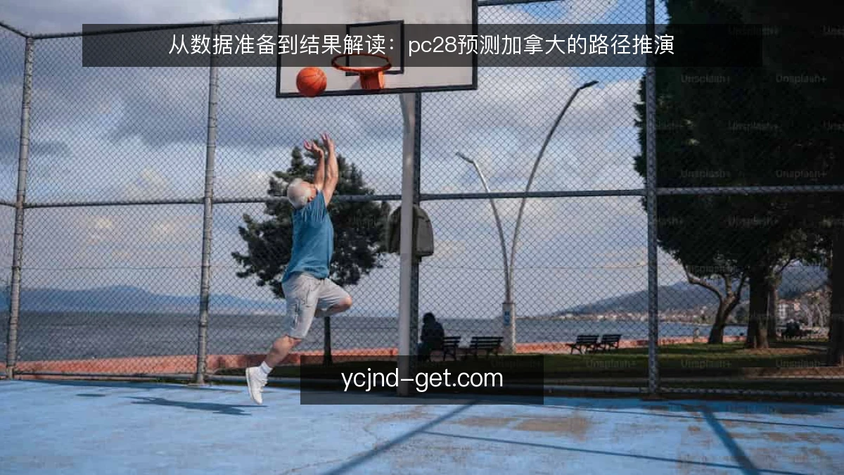 从数据准备到结果解读：pc28预测加拿大的路径推演